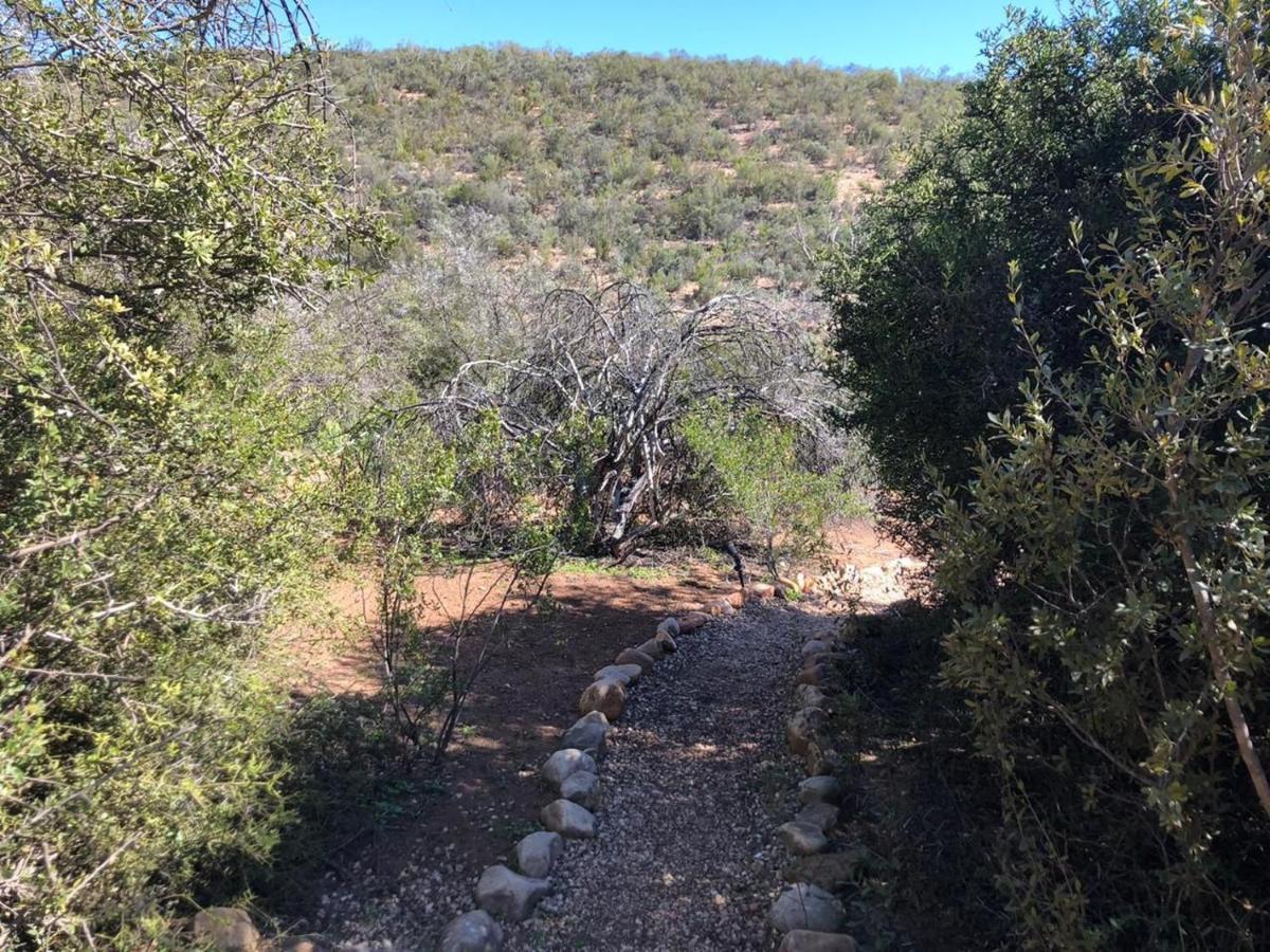Zwartberg View Mountain Lodge Oudtshoorn