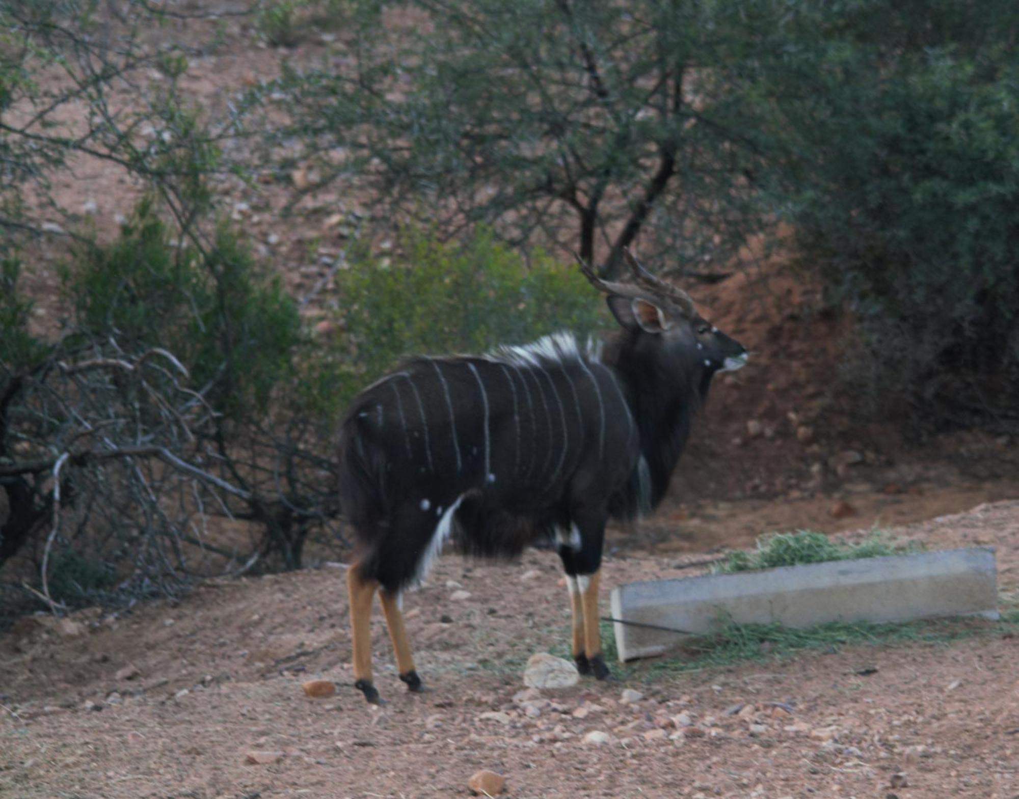 Zwartberg View Mountain Oudtshoorn